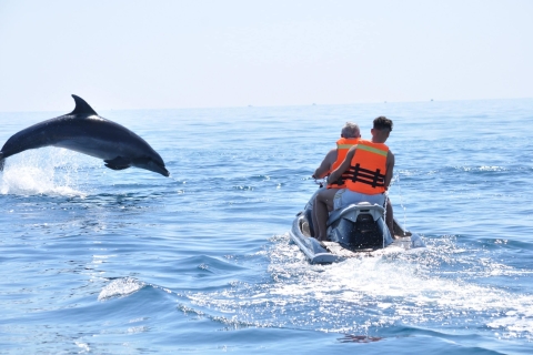 Djerba: Jet Ski and Boat Dolphin Watching Excursions For the Boat Trip to Blue Lagoon with Swimming 90 min