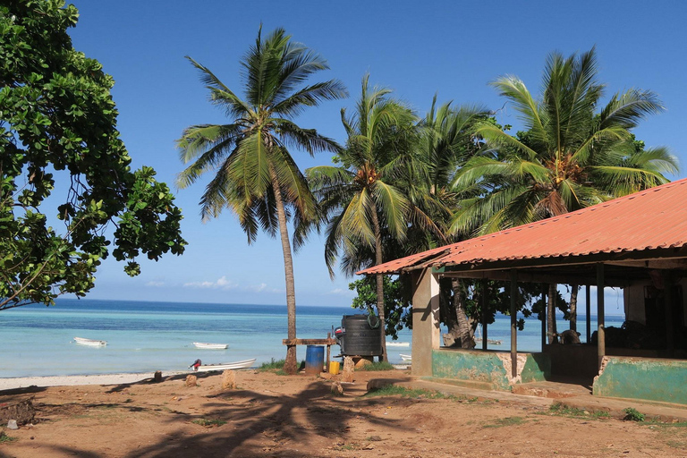 Zanzibar : visite de la forêt de Jozani et de la ferme d'épices avec transfertZanzibar : visite de la forêt de Jozani et d'une plantation d'épices avec transfert