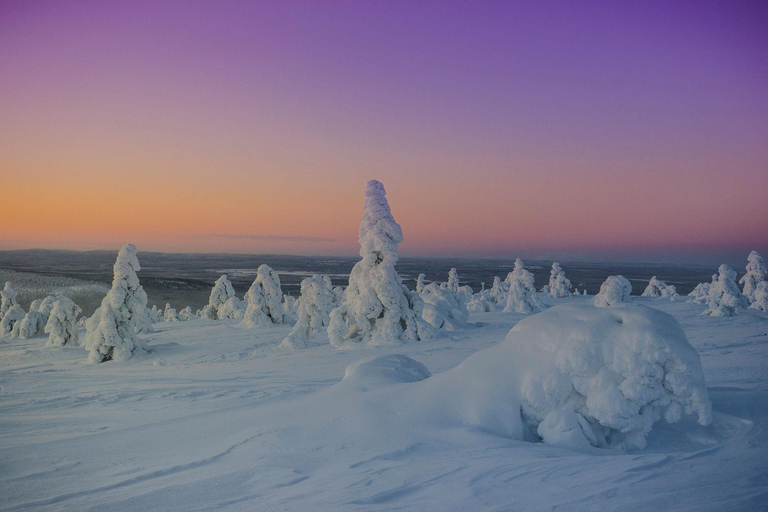 Winter Snowshoeing in the Finnish Wilderness