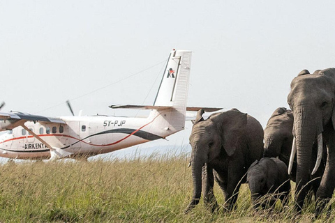 Nairobi: 3-Day Fly-In Private Maasai Mara Safari Experince
