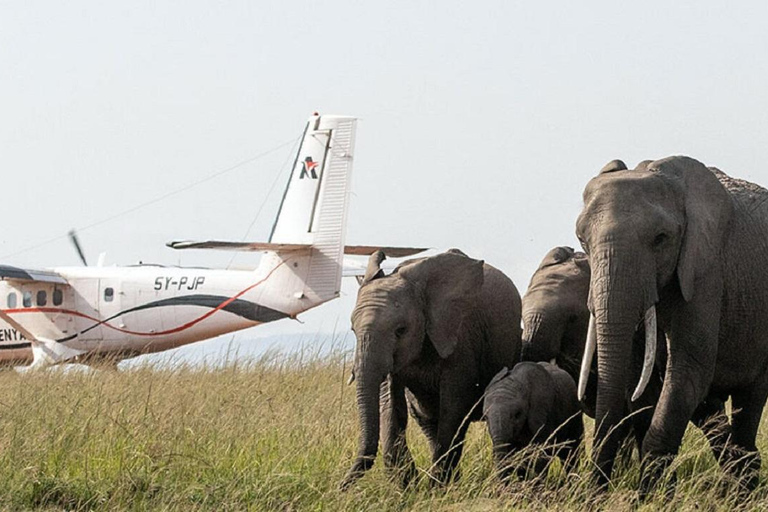 Nairobi: 3-Day Fly-In Private Maasai Mara Safari Experince