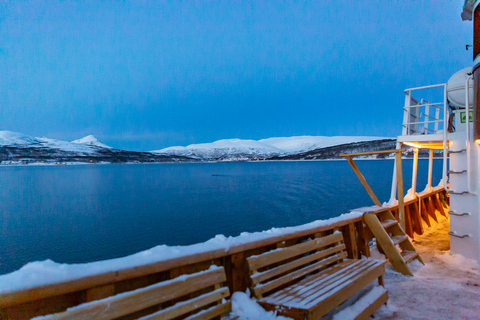 Tromsø: Wieczorny rejs w świetle arktycznym z zupą rybną