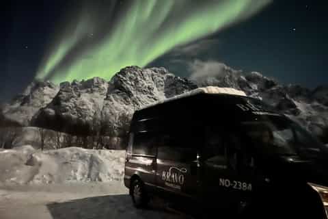 Lofoten : chasse aux aurores boréales en petit groupe en minibus
