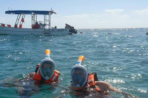 Discover an amazing reefsnorkel tour from Cancun!