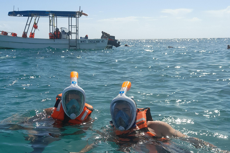 Upptäck en fantastisk revsnorkeltur från Cancun!