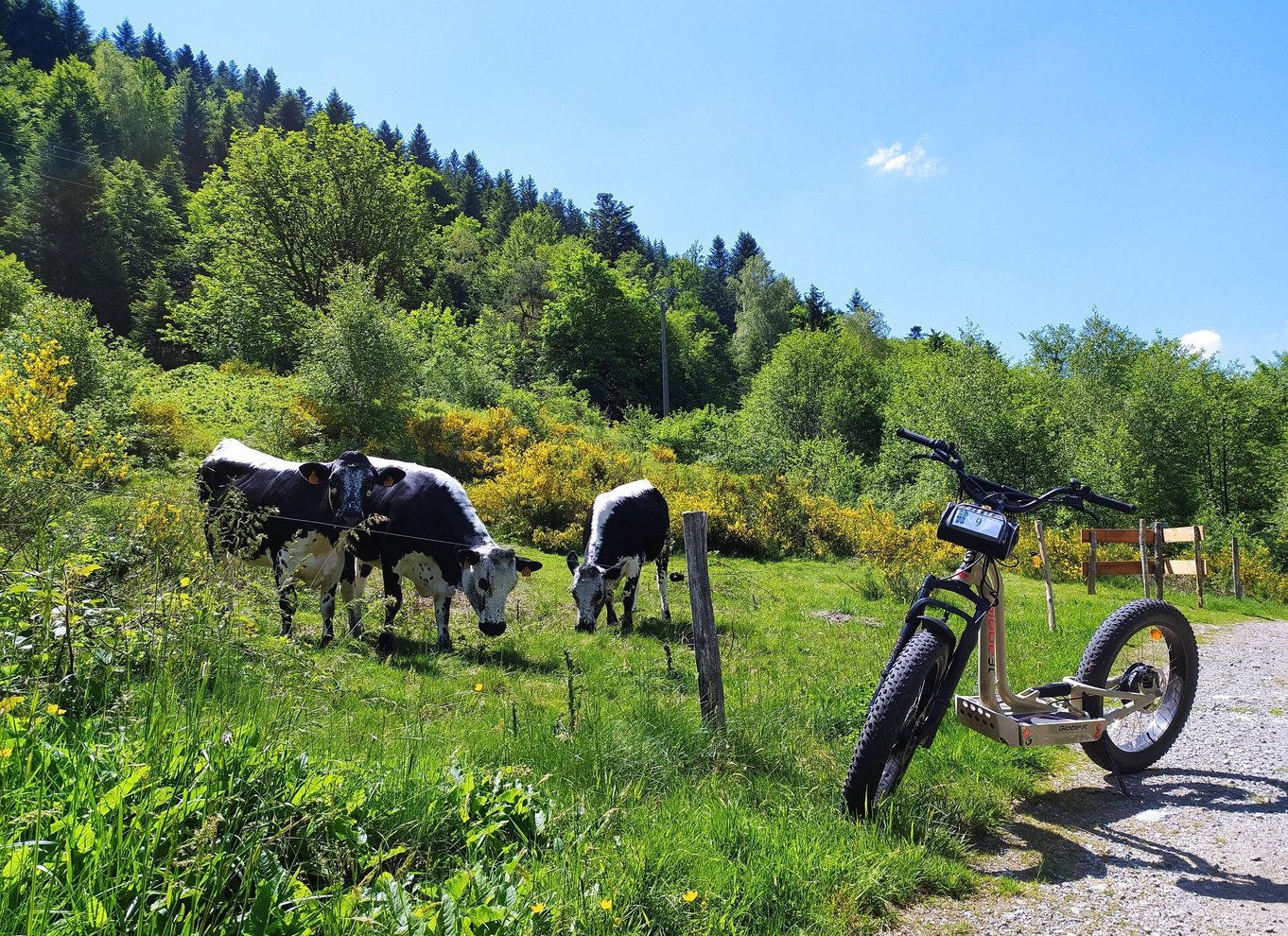 Panoramisk tur i La Bresse på elektrisk løbehjul med aperitif