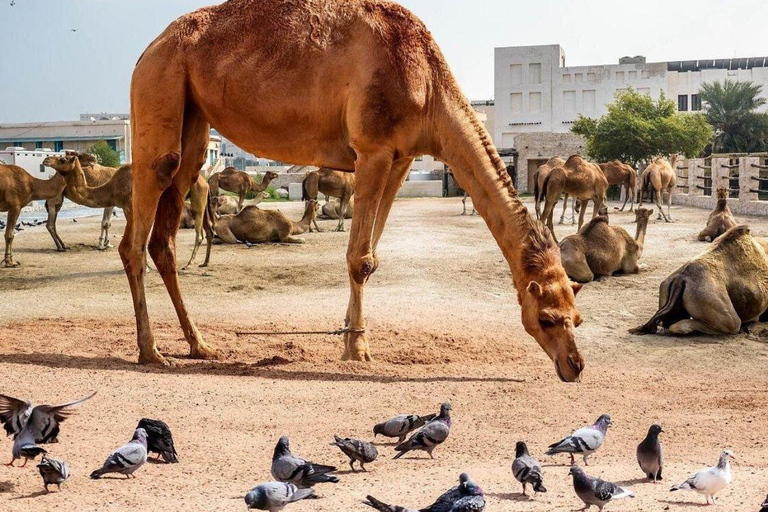 多哈：瓦吉夫集市导览与定制漫步之旅多哈：瓦吉夫集市导览之旅与策展步行导览