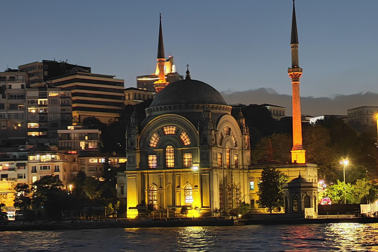 Bosphore d'Istanbul : croisière de 3 heures avec arrêt dans la partie asiatiqueBosphore : croisière guidée de 3 heures (sans repas)