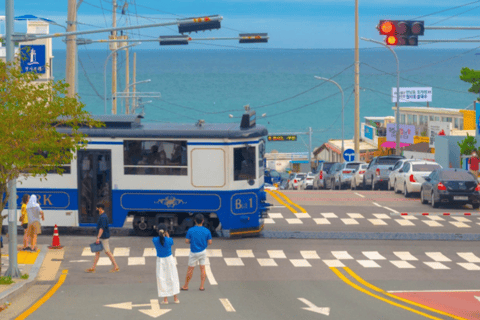 Busan Full-Day Private Customizable Tour