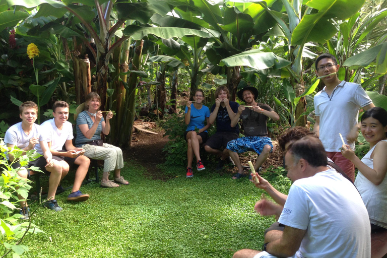 La Palma : Visita guiada EcoFinca Platanologico &quot;a floresta comestível&quot;.