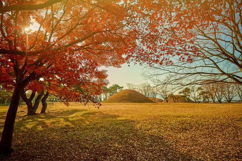 Busan: Gyeongju Autumn Foliage Day Tour with Historic Sites Shared Tour, Meet at Haeundae Station