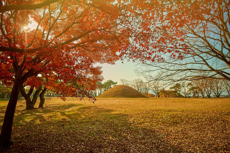 Busan: Gyeongju Autumn Foliage Day Tour with Historic Sites Shared Tour, Meet at Haeundae Station