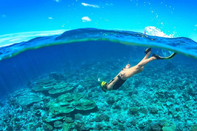 Ilha Cham: Experiência de mergulho com snorkel a partir de Danang