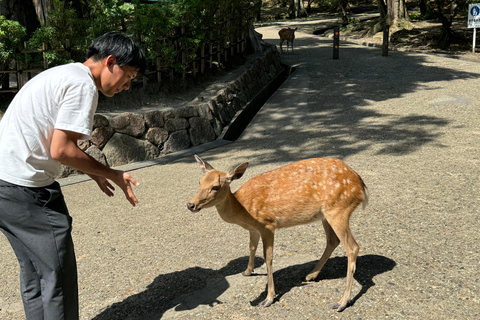 Nara: Kasuga Taisha, World Heritage and Sacred Deer Shrine