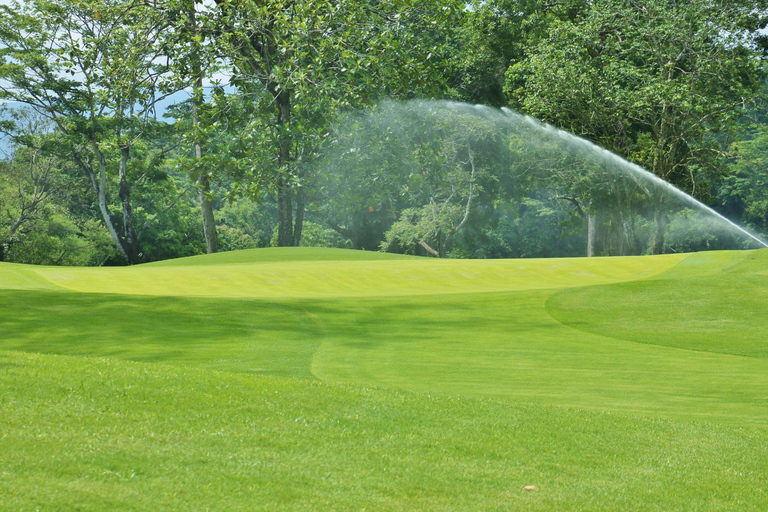 Subic: Day Golf Entry