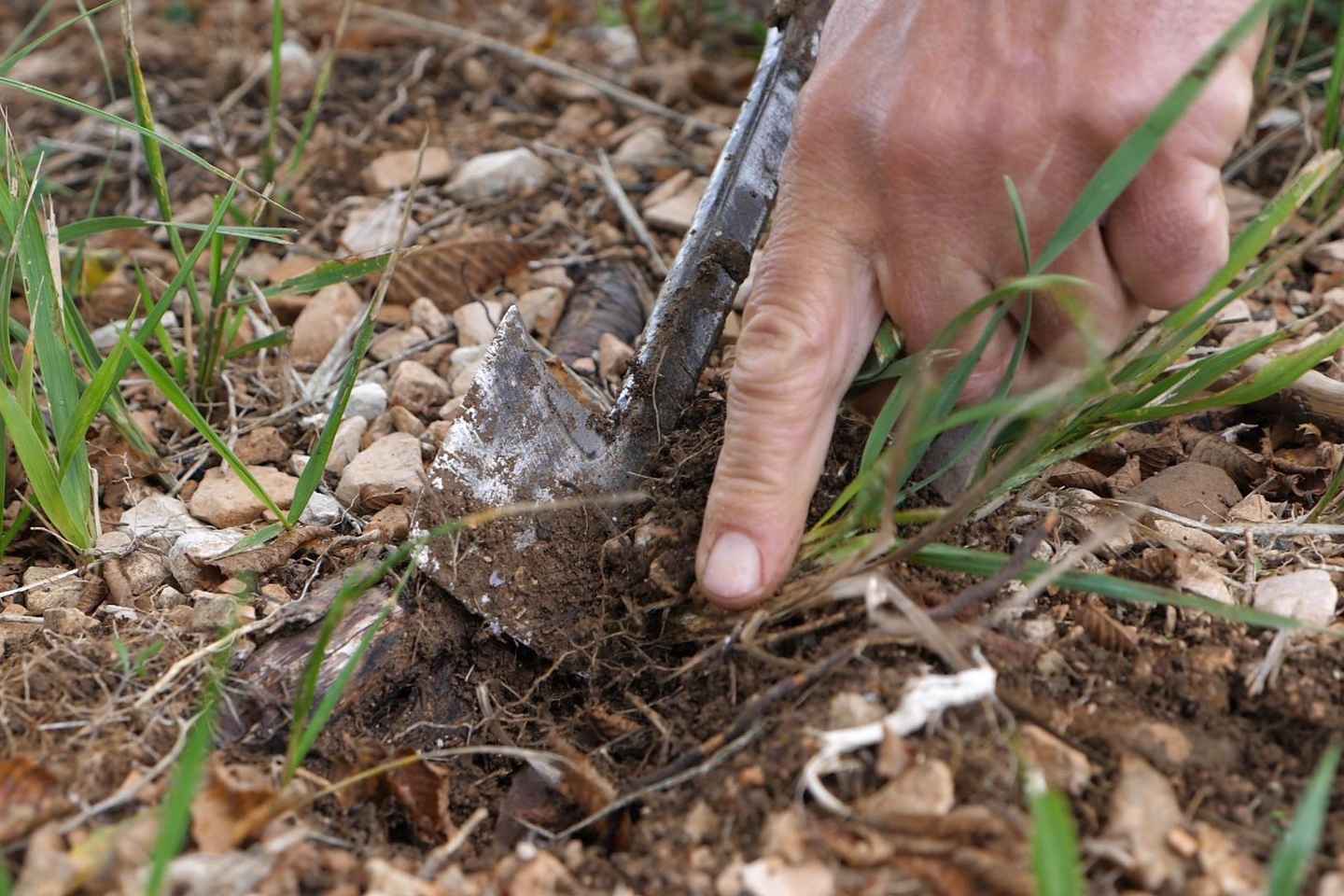 Acqualagna: Alla Scoperta del Tartufo Dal Bosco Alla Tavola
