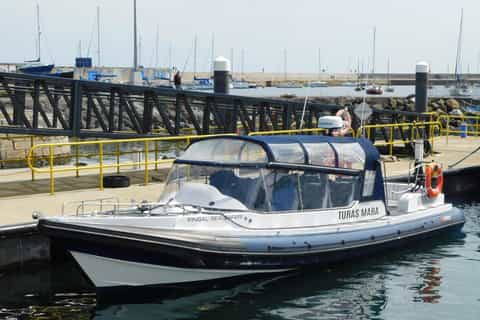 Howth: Sea Safari around Lambay Island - Image 3