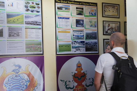 Tour culturale tibetano all&#039;alba di Sarangkot