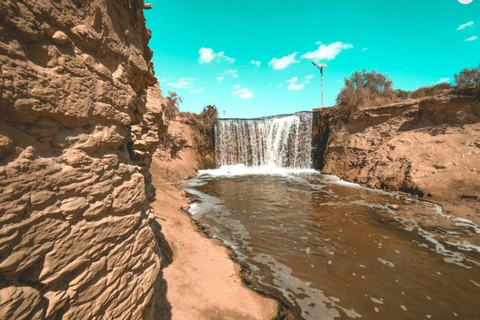 From Cairo: 4x4 Desert Safari, Waterfalls & Magic Lake Shared Tour: Wadi El Rayan, Magic Lake & Lake Qarun, Jeep