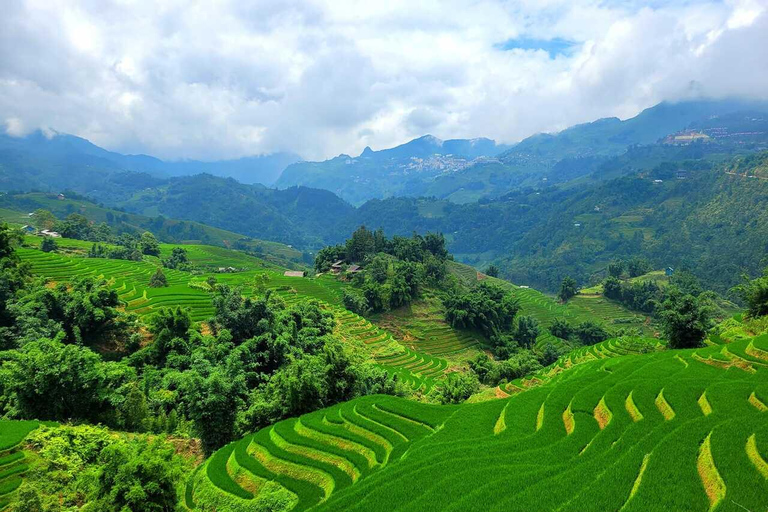 From Hanoi: Visit Sapa 3 Days & See The Terraced Fields Group Tour With A 4-Star Hotel