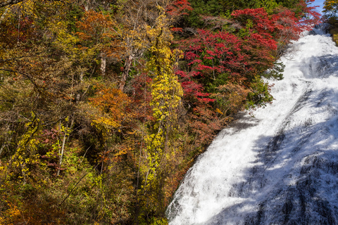 Tokyo: Nikko Kegon Falls Lake Chuzenji Toshogu Temple & More From Tokyo: Nikko Unesco Customised Private Tour In Prado