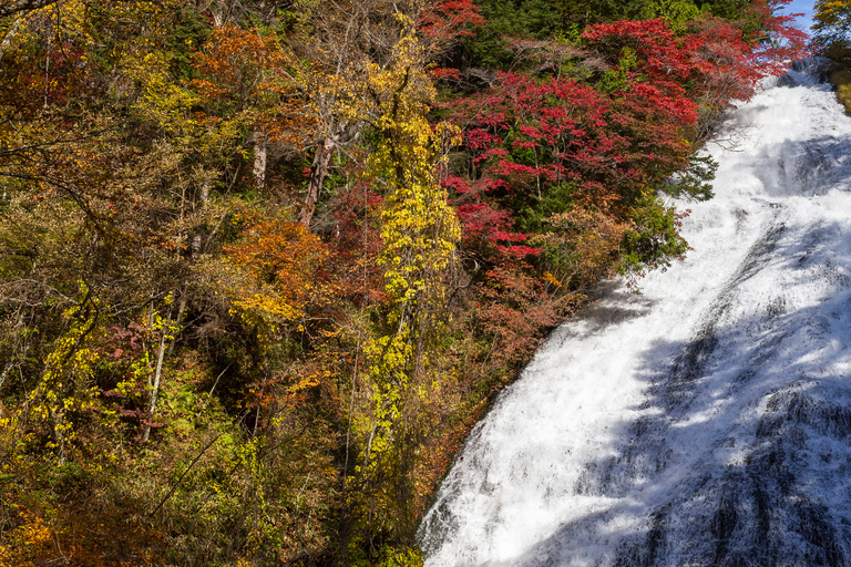 Tokyo: Nikko Kegon Falls Lake Chuzenji Toshogu Temple & More From Tokyo: Nikko Unesco Customised Private Tour In Prado