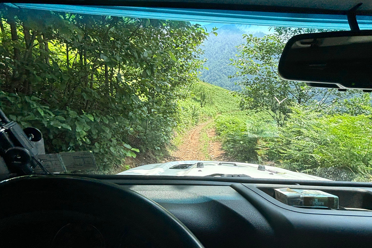 Tour de día completo por el monte desde Batumi