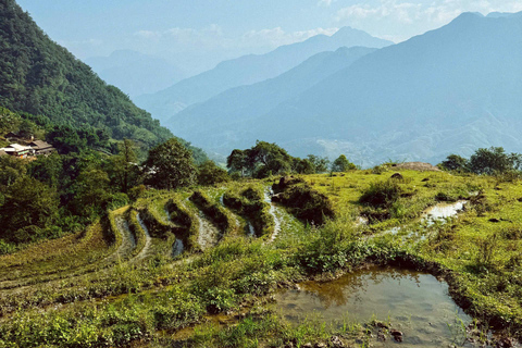 Trekking di un giorno a Sapa: terrazze di riso e villaggi etnici