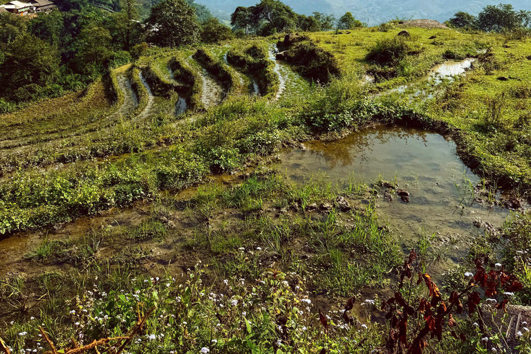 Ruta de un día por Sapa: Terrazas de arroz y pueblos étnicos