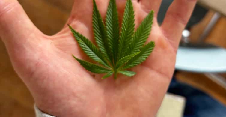 Amsterdam: Hash-Making Workshop with History and Tips