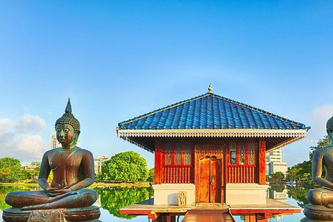 From Negombo: Colombo Private Guided City Tour with Transfer