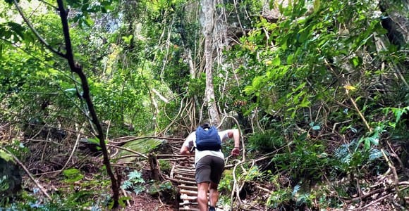 Phu Quoc Jungle Trek: Tranh Stream to Tien Son Peak