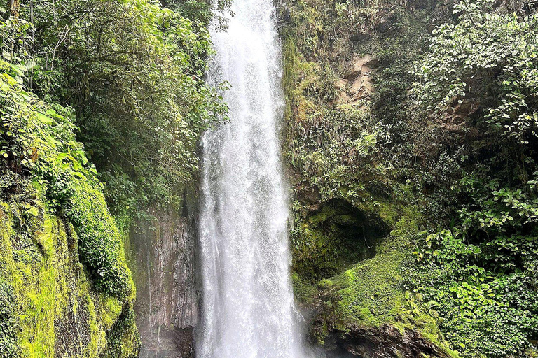 From San José: Poás Volcano, La Paz Waterfalls & Doka Tour
