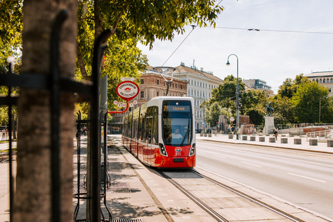 Cartão turístico de Viena: Seu ingresso turístico com descontos/metrôCartão turístico de 48 horas para Viena