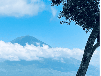Bali: Tour privato di mezza giornata con un'autista donna di fiducia