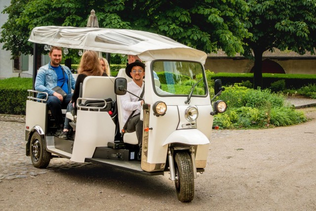 Visit Private Highlights Top Places Tour Electric TukTuk 1h in Geneva, Switzerland