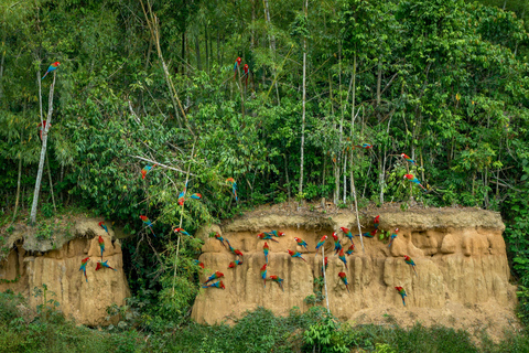 From Cusco: 3-Day Manu Amazon Jungle Expedition & Photos