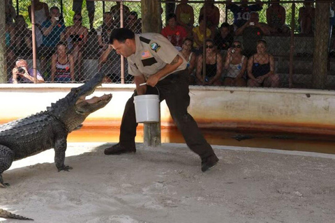 Tour di mezza giornata delle Everglades in motoscafo e trasporto