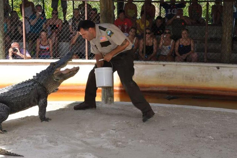 Halvdag Everglades Airboat Tours och transport