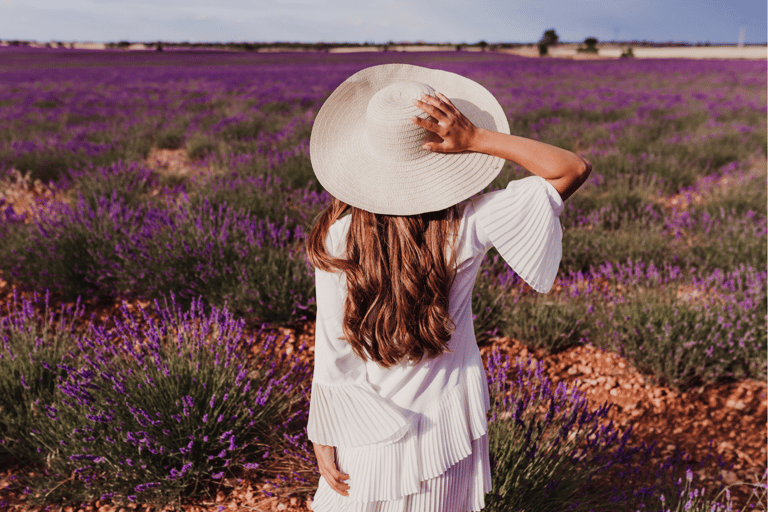 Depuis Perth : Pinnacles, ferme de la lavande et Lobster Shack