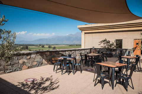 Viña Haras de Pirque Wine Experience