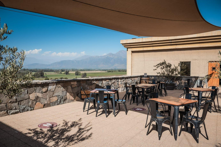 Viña Haras de Pirque Wine Experience