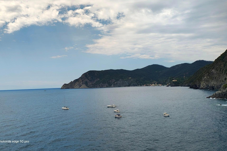 Florence to Cinque Terre e Pisa: Private Full-Day Tour