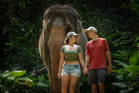 Programme d&#039;une demi-journée avec un éléphant sur la plage (3h30)Nourrir et baigner les éléphants sur une plage privée