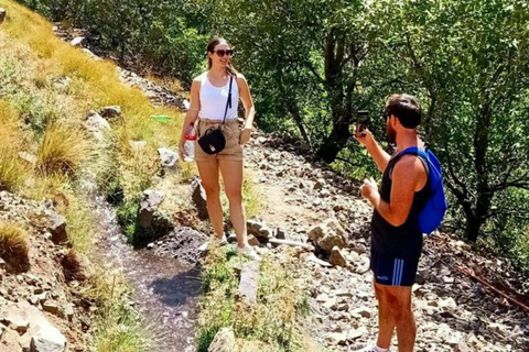 Frome Marrakech: Excursión de un día a la cumbre del Tedli en el Atlas