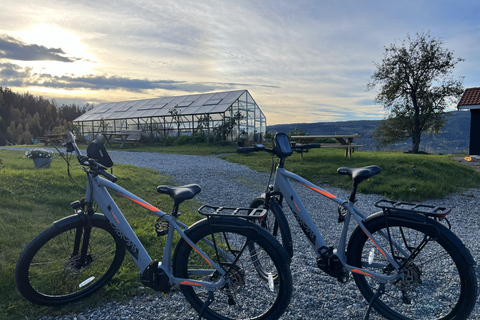 Historic Eidsvoll E-Bike Tour