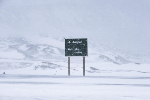 Pole lodowe: lodowiec Crowfoot, jezioro Bow-Peyto i Marble Canyon