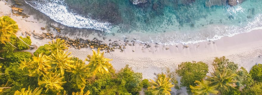 Explorez la MAGIE du Sri Lanka en 7 jours - Hôtels 4 étoiles inclus.