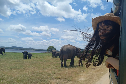 Desde Dambulla: Fortaleza de la Roca de Sigiriya y Safari en Minneriya