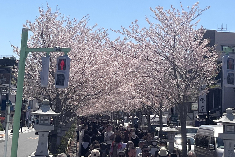 Japan: 6-tägige kulinarische Tour mit Chefkoch in Tokio &amp; Kyoto